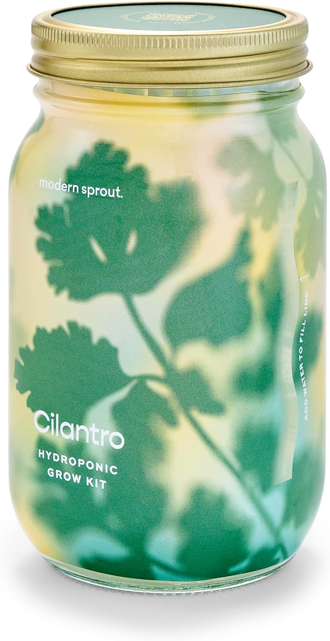Modern Sprout Mason Garden Jar - Self-Watering Hydroponics Growing System Kit with Organic Herb Seeds - Jar Planter for Indoor Herb Garden - Seed Starter Kit - Home Decor & Gifting - Cilantro