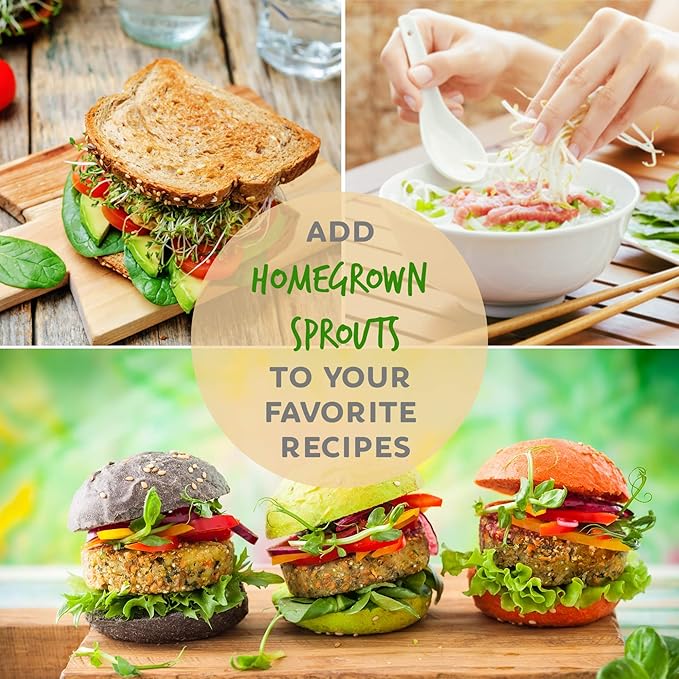 Speckled Pea Sprouting Seeds - 5 Lbs - Certified Organic, Non-GMO Green Pea Sprout Seeds - Sprouts & Microgreens