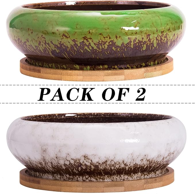 ARTKETTY Succulent Pots with Drainage, 2 Pack Large Succulent Planters Ceramic Bonsai Pot with Trays, 7.3 Inch Round Shallow Planters for Indoor Cactus Flower Plants
