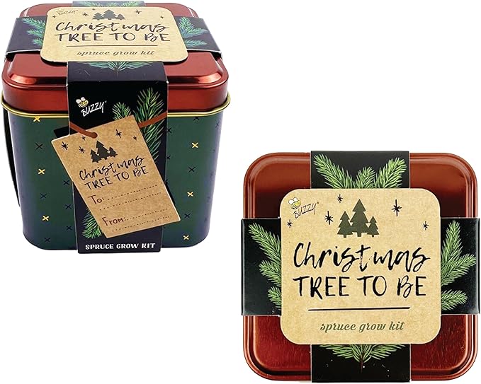 BUZZY Seeds Holiday Spruce Square Tin Grow Kit 2-Pack – Indoor Mini Spruce Tree Starter Kit for Plant Lovers – DIY Gardening, Stocking Stuffers, Party Favors, and Classroom Projects