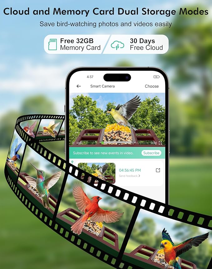 Smart Bird Feeder with Camera,5200mAh Battery with Solar Panel, 4K Native Resolution Live View, AI Species Identification, Auto Capture & Instant Arrival Alert, Ideal Gift for Bird Lovers (Red Green)