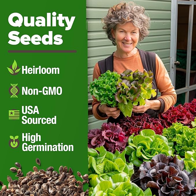 HOME GROWN Lettuce Seeds for Planting - 8 Varieties Non-GMO Heirloom Salad Greens Seeds - 9000+ USA-Sourced Vegetable Seeds for Planting Outdoors, Indoors, Hydroponic Garden