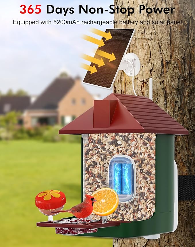 Smart Bird Feeder with Camera,5200mAh Battery with Solar Panel, 4K Native Resolution Live View, AI Species Identification, Auto Capture & Instant Arrival Alert, Ideal Gift for Bird Lovers (Red Green)