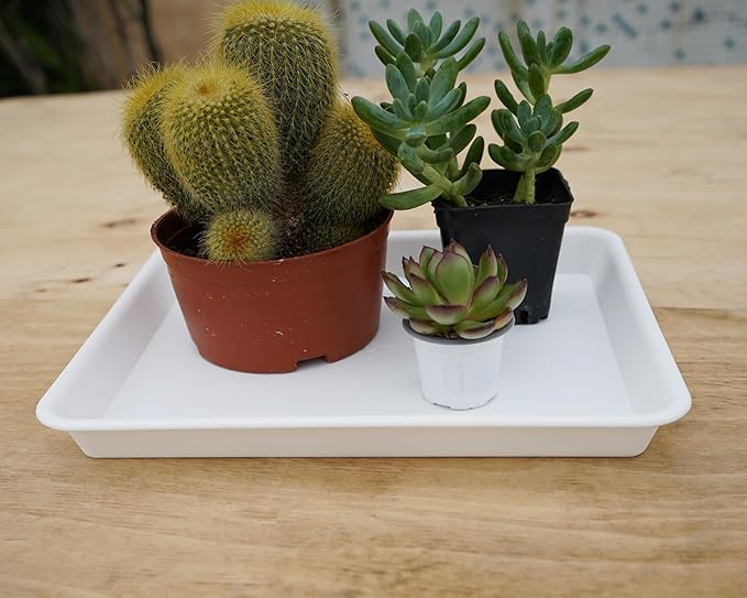 Plant Saucer Growing Trays, Seed Starter Tray, 14"x11", Heavy Sturdy Plastic Microgreens Tray, Propagation Tray Rectangular, Humidity Tray, Seedling Tray, Seed Starter Growing Tray