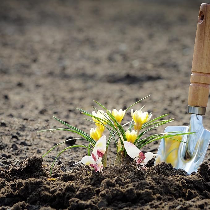 Wildflower Seed Paper - Set of 24 Hummingbird-Shaped for Funeral Favors, Memorial Gifts, & Sympathy Gifts for Loss of Father and Mother (Pink)