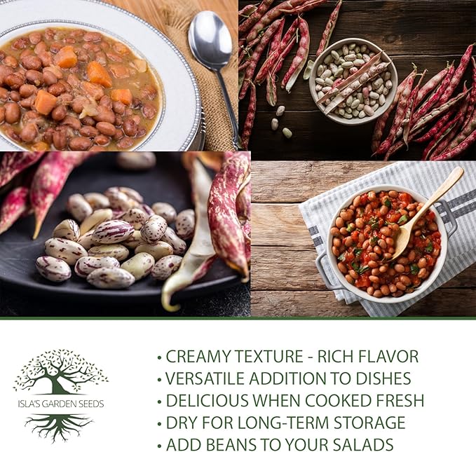 Taylor Dwarf Horticulture Bush Bean Seeds (Phaseolus vulgaris) – 25+ Non-GMO Heirloom Cranberry Bean Seeds, 85% Germination Rate, by Isla’s Garden Seeds, Great for Cooking & Small Gardens