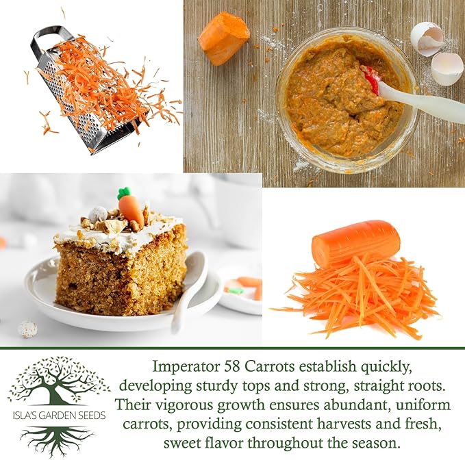 Imperator 58 Carrot Seeds (Daucus carota) โ 500+ Non-GMO & Heirloom Seeds, Long and Sweet Carrots for Juicing, Fresh Eating, and Cooking, by Islaโs Garden Seeds, Great Gardening Gift