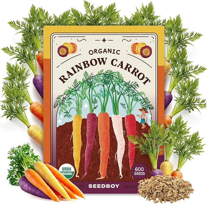 Seedboy Organic Rainbow Carrot Seeds for Planting Indoor and Outdoor, Non-GMO and USDA Certified Vegetable Seed Packet for Hydroponic Garden Indoor or Planting Outdoors (Rainbow Carrots)