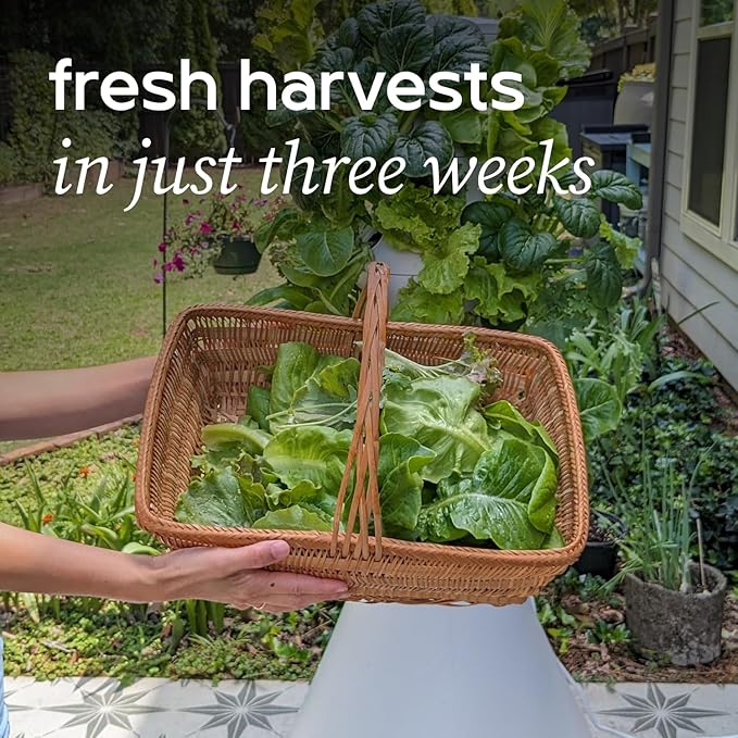 Farmstand Starter Kit + 12 Seedling Credits | Tiny Hydroponic Growing System Kit | Self-Watering Outdoor Vertical Garden Planter Tower | 3ft 8in | Made in USA