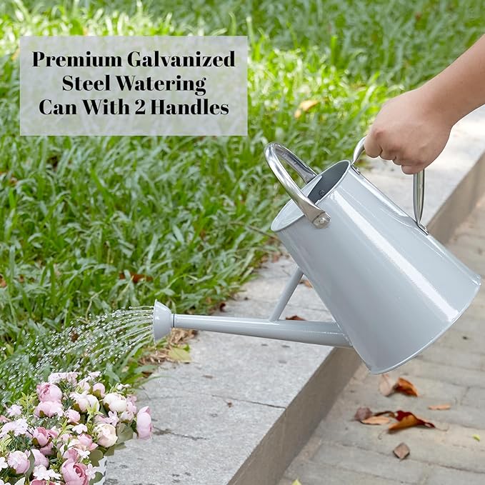 1.5 Gallon Watering Can for Outdoor Plants,Large Metal Plant Watering Pot with Removable Spout,Flower Garden Water Can Watering Pot,Galvanized Steel Watering Can with Stainless Steel Handles,Grey