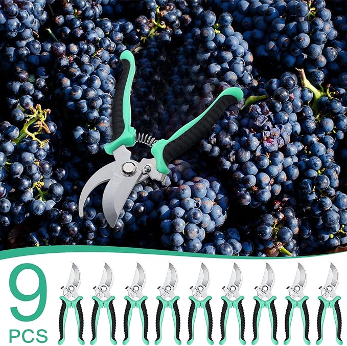 Lothee 9 Pcs Garden Shears Pruning Garden Clippers Bulk Bypass Pruner Heavy Duty for Gardening Hedge Plant Cutting Flower Scissors for Tree Trimming Bonsai Cutting Fruits Picking