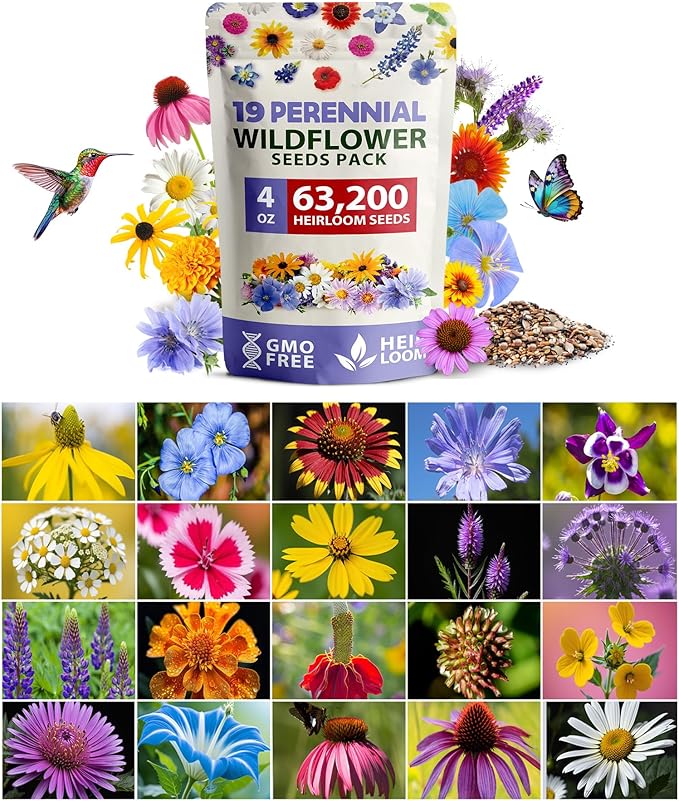 HOME GROWN π¨π¦π π£π₯ππ ππ¨π  Wildflower Seeds Bulk 4 oz 63,200+ Seeds 19 Varieties Non-GMO Perennial Mix, Butterfly & Pollinator Flower Seeds, Attract Bees, Birds & Hummingbirds, Outdoor Planting