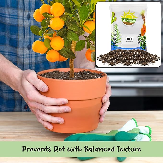 Citrus Tree Potting Soil Mix (8 Quarts), Special Blend for Indoor Oranges, Lemons, Limes and More