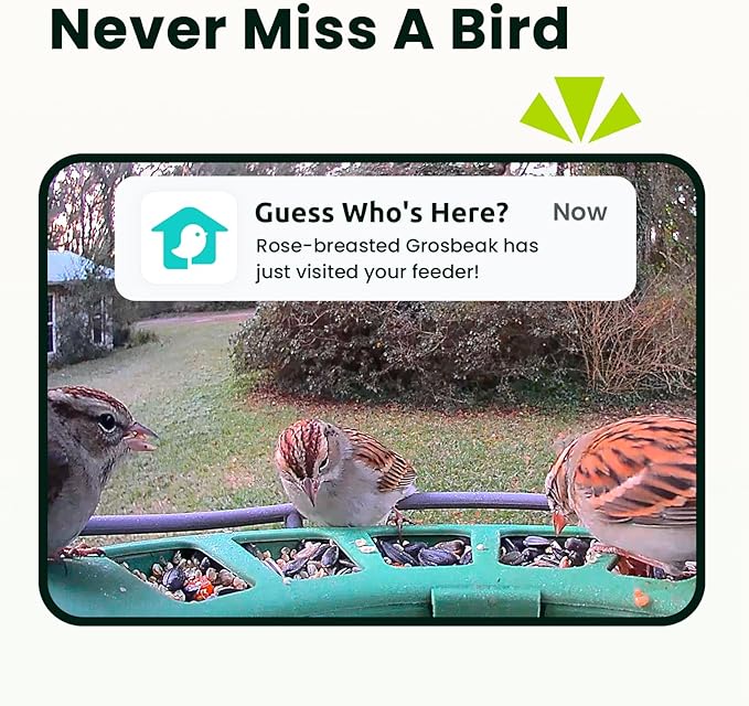 Birdfy 2 Smart Bird Feeder with Camera, AI Identifies Bird Species, 2K Dual-Lens + Side HD Camera for Live Streaming & Feeding View, Solar-Powered Backyard Birdwatching Gift Present