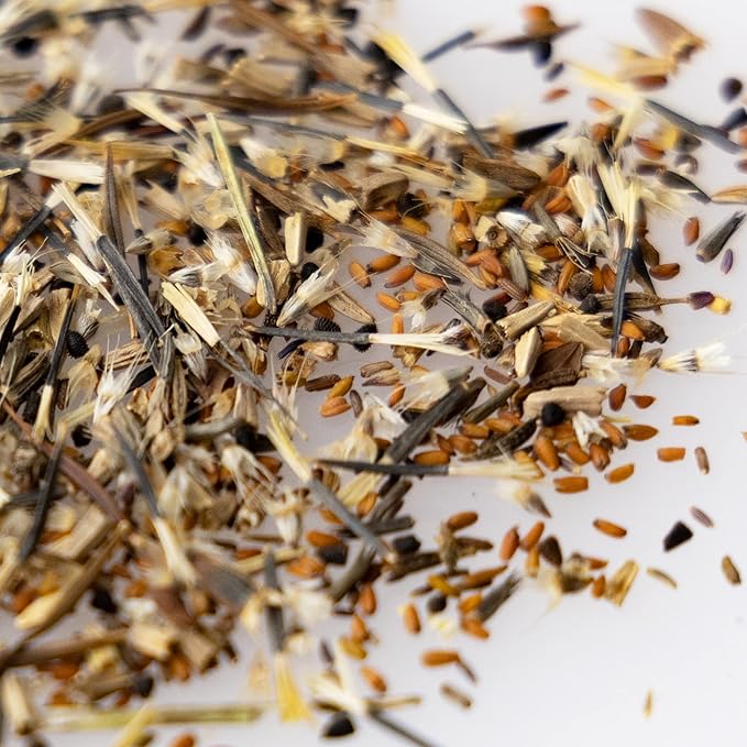 Wildflower Seeds Bulk β National Wildflower Seed Collection β Perennial Wildflowers Mix β Flower Seeds for Planting β Wild Flowers (Save The Monarchs)