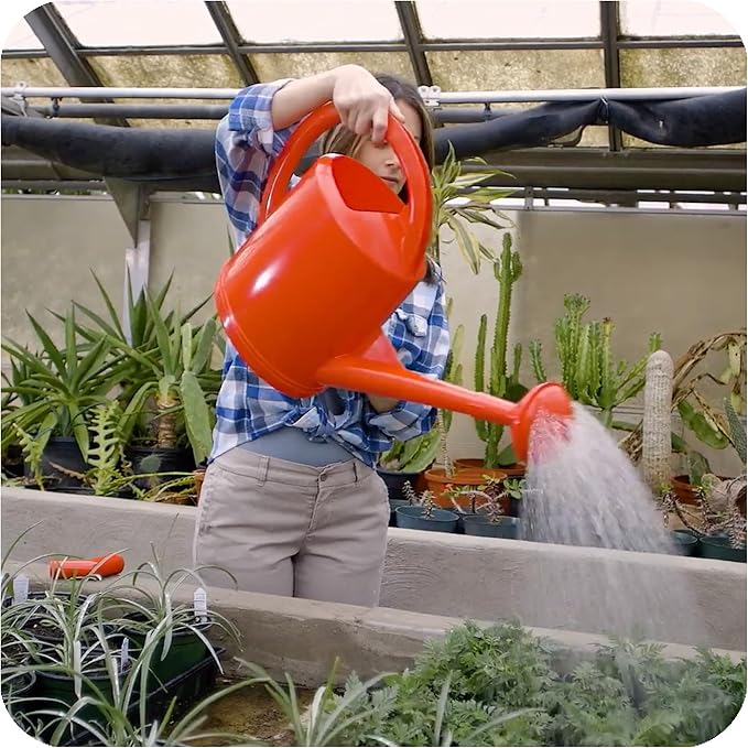 Consolidated Plastics Durable Swiss Watering Can with UV Protection, Ergonomic Handle for Indoor/Outdoor Gardening, Made in Switzerland (12 Liter, Red)