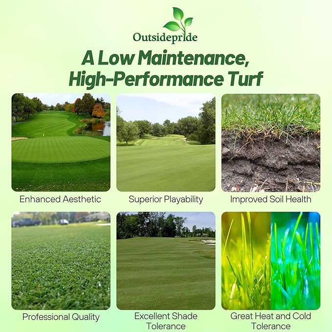 Outsidepride Crystal Bluelinks Creeping Bent Grass Seed - 25 lbs. Dense Turf Grass for Golf Greens & Putting Surfaces, Fine-Textured, Tolerant to Close Mowing for Smooth, Consistent Lawn Coverage