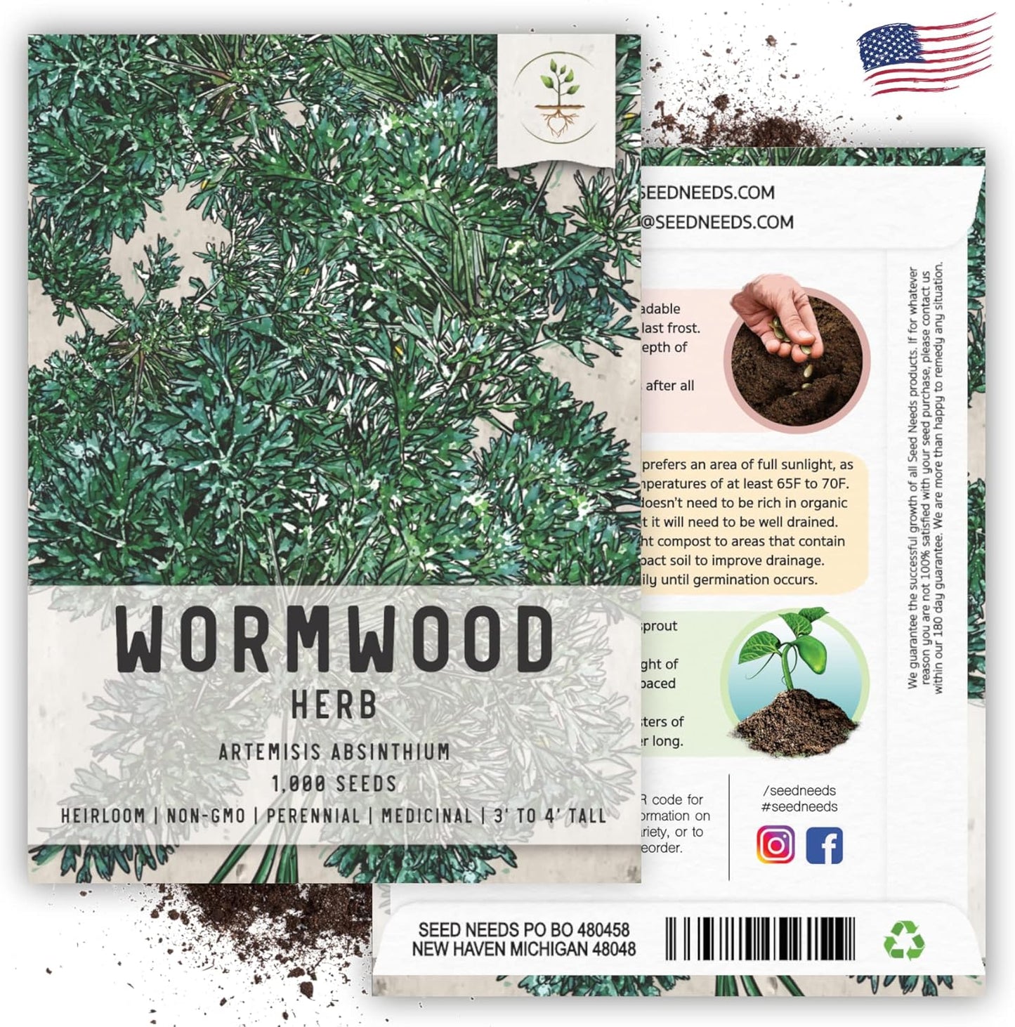 Seed Needs Wormwood Seeds for Planting - Non-GMO, Heirloom & Untreated Perennial Herb - Medicinal Herbs for Digestion & Gut Health (5 Packs)