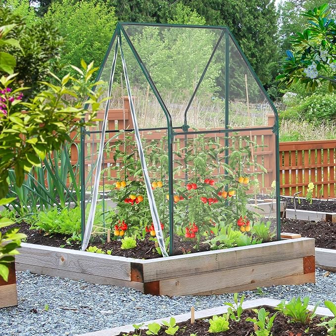 Mini Greenhouse for Indoor Outdoor: Ohuhu Portable Green House with Waterproof Pad for Small Plants Nursery Germination, 36"x36"x58.5" Heavy-Duty PVC Cover Tent Humidity Dome Seedling Accessory