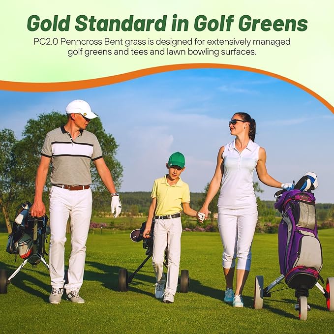 Outsidepride PC2.0 (Penncross) Creeping Bent Grass Seed – 25 lbs. Premium Golf Course Grade, Dense, Wear-Resistant Turf Grass Seeds for Tees, Putting Greens & Fairways, Ideal for High Traffic Areas