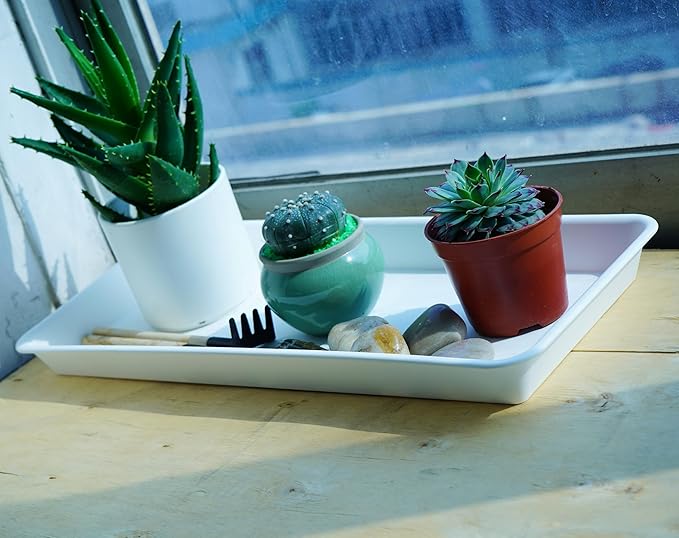 6 Pack Plastic Plant Tray Saucer, Rectangular, Indoors Outdoor, Water Drip Tray for Flower Pot, Windowsill (6.5 x 13 Inch, Cream White)