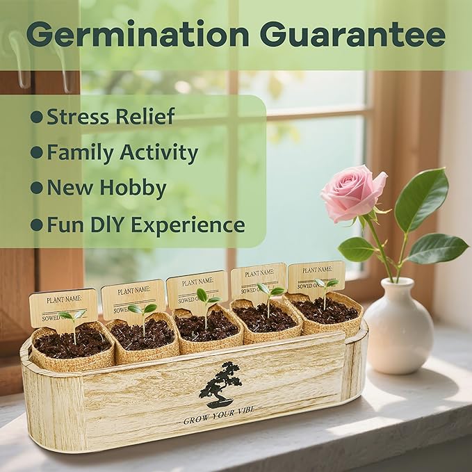 Bonsai Tree Kit for Beginners - Unique DIY Japanese Bonsai Trees,Crafts for Adults, Ideal Gardening Birthday Gift for Women & Men,Complete Indoor Plant Kit