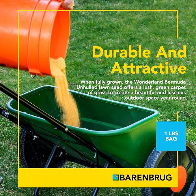 Barenbrug Wonderlawn Perennial Ryegrass Grass Seed for Southern Lawns, Fast-Acting Durable Grass Seed Mix for All Weather Conditions, 3-lb. Bag