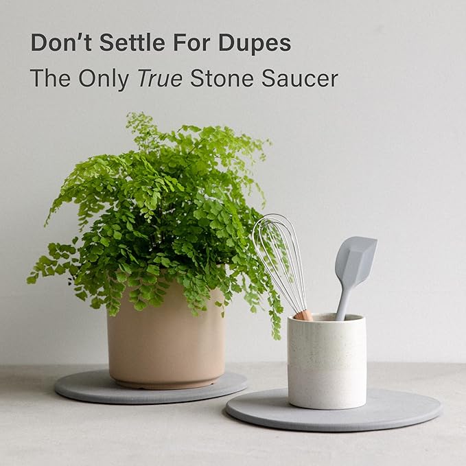 Dorai Stone Plant Pot Saucer – 2 Large Diatomite Water-Catching Trays for Indoor Plants