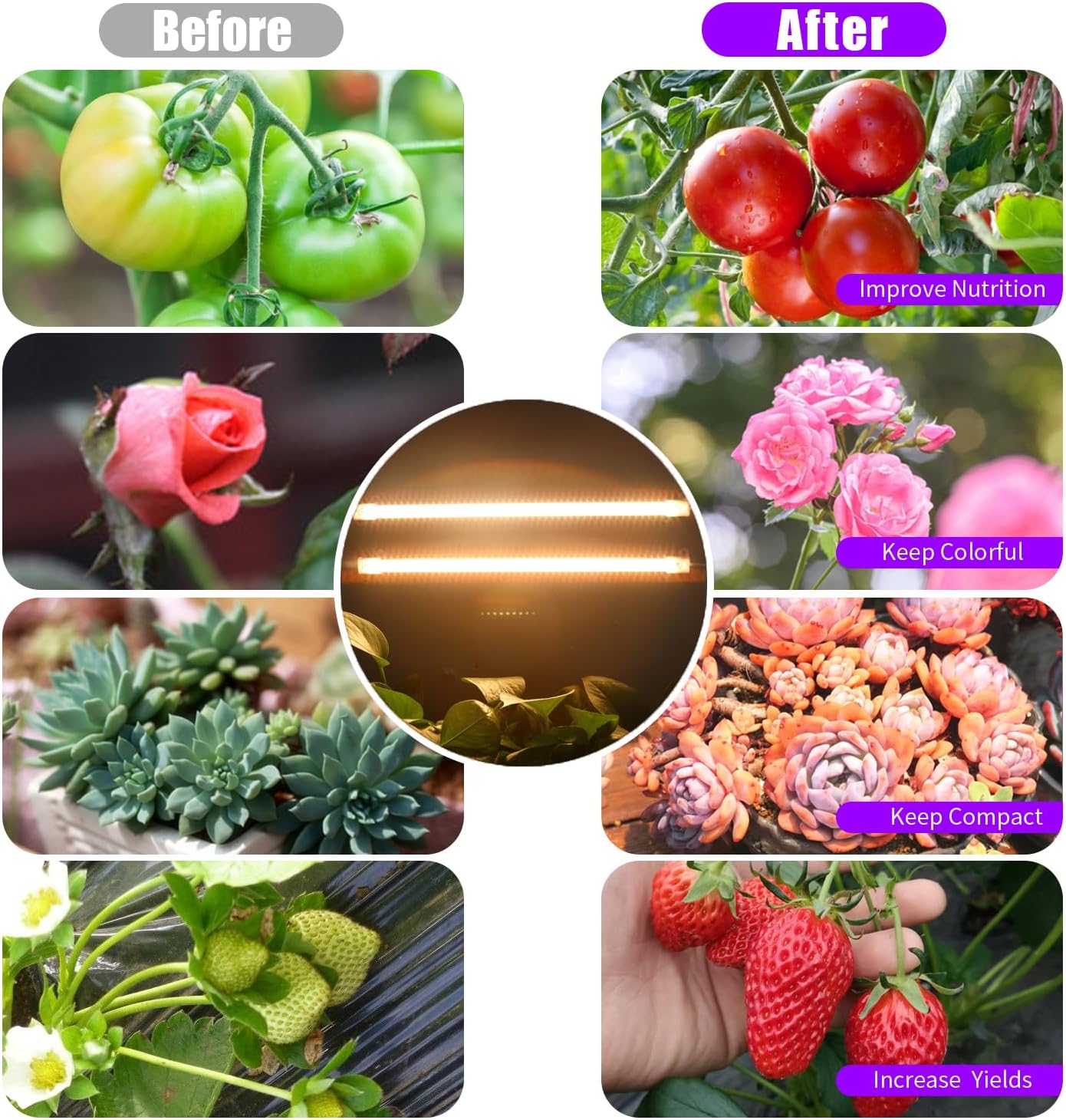 LED Grow Light Strips, Full Spectrum 3500K Plant Growing Lights for Indoor Plants, Plant Lamp for Hydroponics Succulent with 3/9/12H Timer, 10 Dimmable Levels, 3 Head 13 Inches (2 Strip 3 Pack)