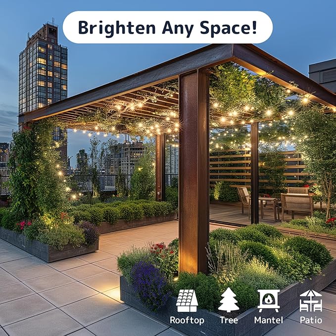 PREXTEX 100 Count Clear Christmas Lights - 20 ft Ultra Bright String Lights with Green Wire for Indoor and Outdoor Use, Christmas Trees, Holidays, Patios and Garden