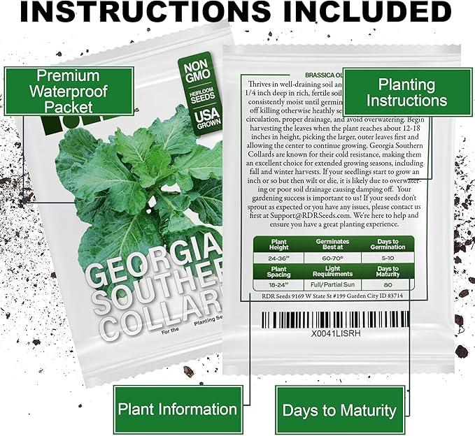 1000+ Georgia Southern Collard Greens Seeds for Planting - Heirloom, Non-GMO, USA Grown