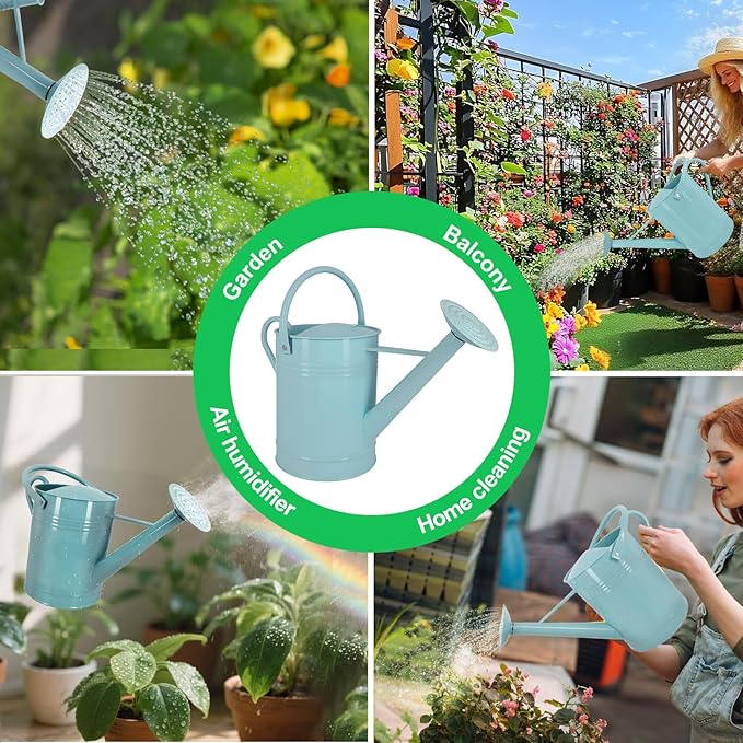 Galvanized Iron Watering Can for Indoor Plants, DIY Watering Cans for House Plant Garden Flower, Long Spout Water Can for Outdoor Watering Plants 7.57L 2 Gallon (Blue)