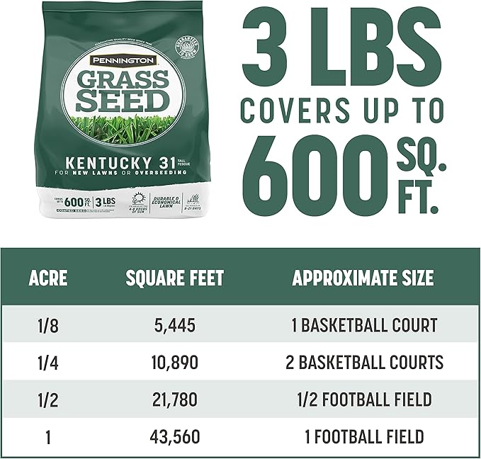 Pennington Kentucky 31 Tall Fescue Penkoted Grass Seed 3 lb