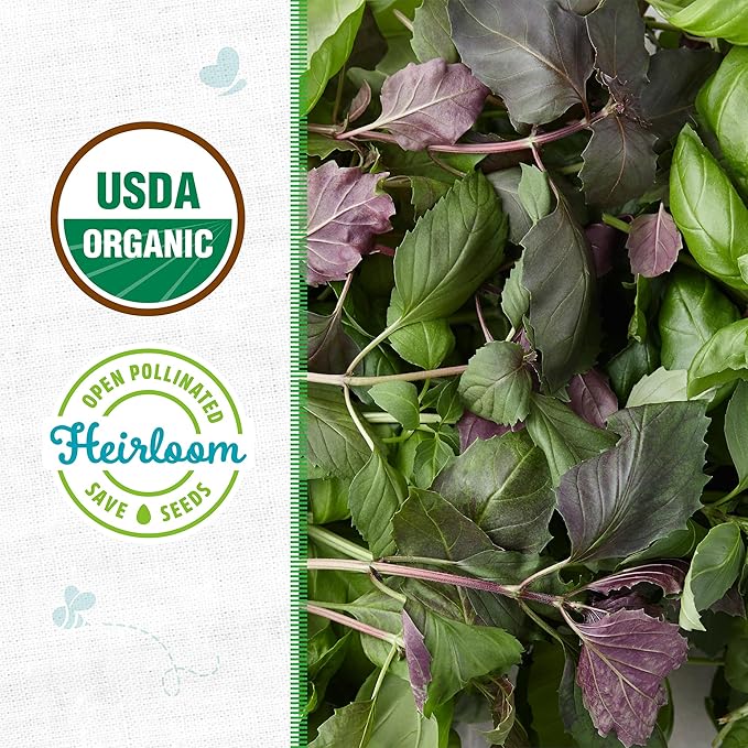 Back to The Roots 100% Organic Heirloom Seeds - Heirloom Basil Blend Value Pack (600mg Total)