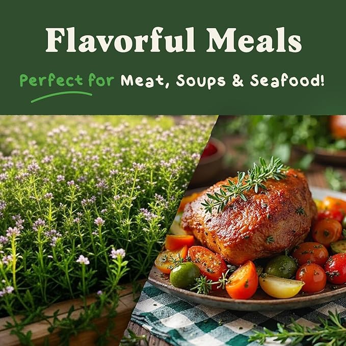 Seedboy Organic Thyme Seeds for Planting Indoor and Outdoor, Non-GMO and USDA Certified Herb Seed Packet for Hydroponic Garden Indoor or Planting Outdoors (Thyme)