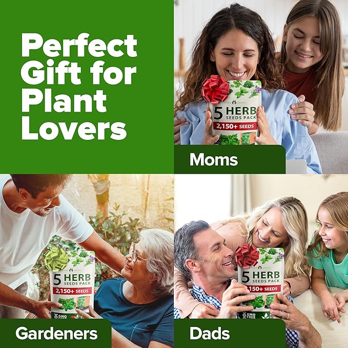 HOME GROWN 5 Herb Seeds for Planting 2,150+ Non-GMO Heirloom Seeds | Extra Large Variety Pack Herb Kit โ Indoor Outdoor & Hydroponic | Culinary Seed Set | Grow Your Own Herbs | Gift for Beginners