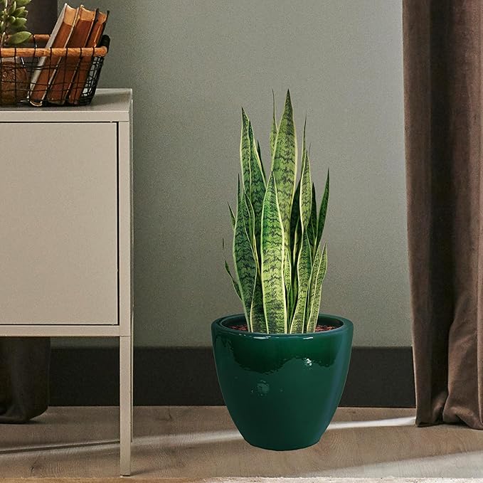 Sunnydaze Large Ceramic Plant Pot - Round Outdoor Glazed Ceramic Planter Pot with Drainage - Resort - Dark Green - 14.5"