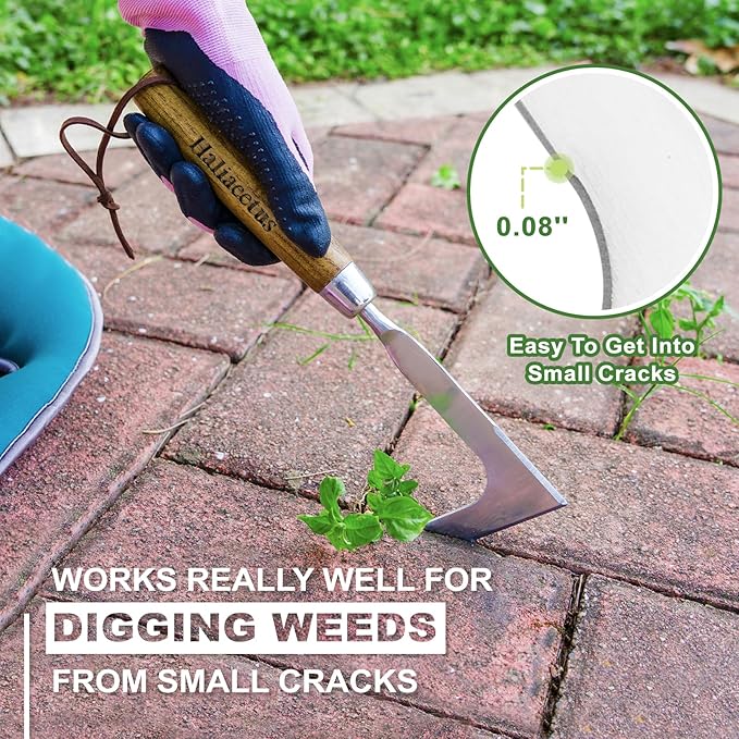 Haliaeetus Crack Weeder, L-Shape Stainless Steel Crevice Weeding Tool, Comfortable Grip Wood Handle Paver Weeder, 11'' Sidewalk Weed Removal Tool for Garden Lawn, Bricked Patio and Terrace Paving Moss