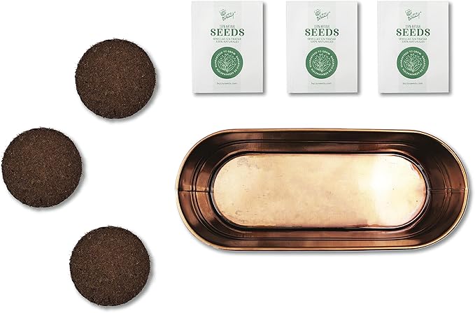 BUZZY Organic Windowsill Grow Kit, Copper Culinary Garden: Basil, Cilantro, and Chives, Best Gardening Gifts, Parties, Unique, Growth Guaranteed, Herb Starter Kit, Seed Kit, Grow Your Own Herbs