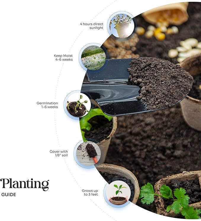 Onesie Seed Paper – 15 Pink Baby Shower Favors for Guests with Wildflower Seeds, Writable & Plantable, Baby Shower Gifts for Guest