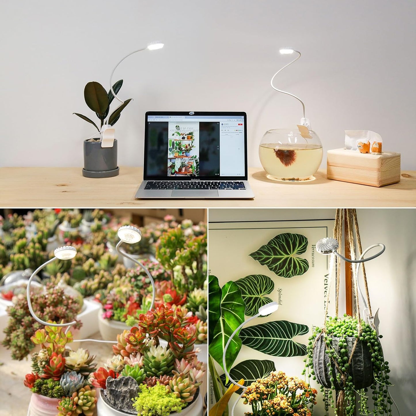 Clip-On Grow Lights for Indoor Plants, 2-in-1 LED Grow Lamp,4000K Sunlike Full Spectrum Plant Lights, 4-Level Dimmable with 3/6/12H Timer, Flexible Gooseneck,14W White Plant Grow Lights