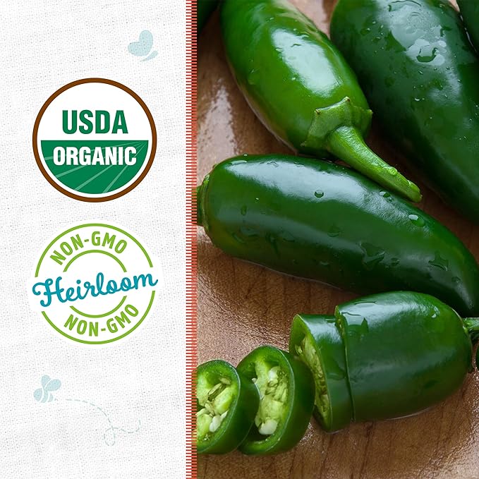 Back to the Roots 100% Organic Seed Packets Jalapeno (Pack of 2)