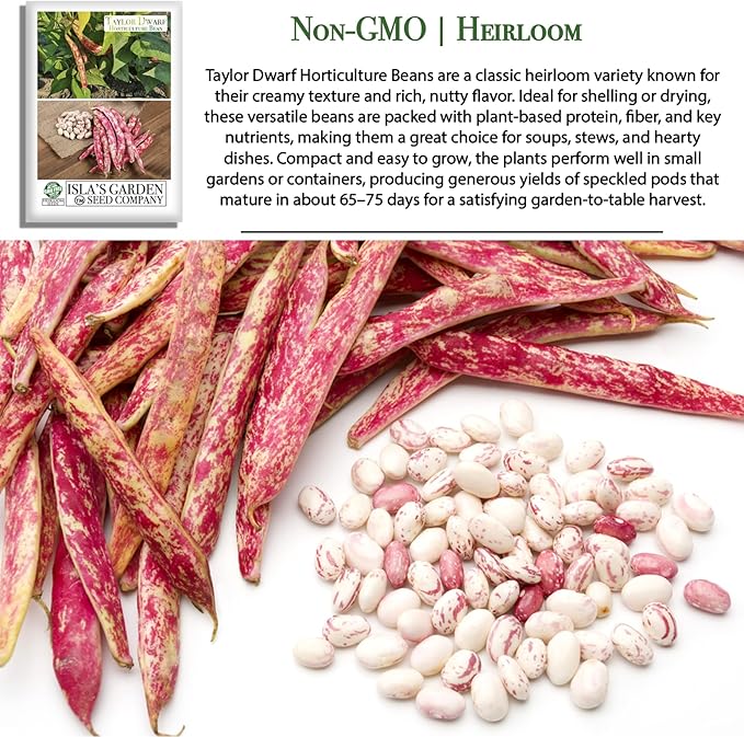 Taylor Dwarf Horticulture Bush Bean Seeds (Phaseolus vulgaris) – 25+ Non-GMO Heirloom Cranberry Bean Seeds, 85% Germination Rate, by Isla’s Garden Seeds, Great for Cooking & Small Gardens