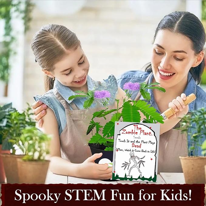 Zombie Plant Seed Packets β Grow a Live Sensitive Plant That Plays Dead When Touched! Indoor Plant Seeds & Educational STEM Activity | House Plant Seeds | Unique Garden Seeds β 2 Pack