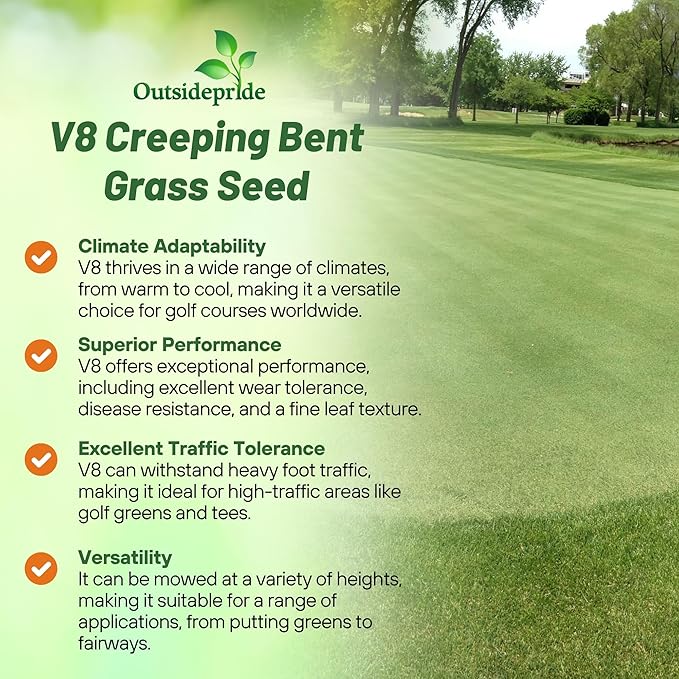 Outsidepride V8 Creeping Bentgrass Seed - 1 lb Fine-Bladed, Premium Quality Turf, Grass Seeds for Smooth Surface, & High-Traffic Areas, Ideal Grass for Golf Courses Putting Greens, & Fairways