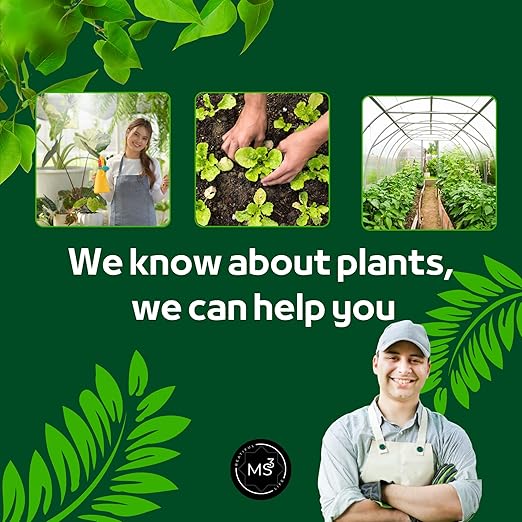 MS3 Drip Irrigation System Kit 226FT โ Automatic Garden Watering System with Adjustable Drippers, 5/16'' & 1/4'' Tubing, Easy DIY Installation for Greenhouse, Yard, Lawn & Potted Plants