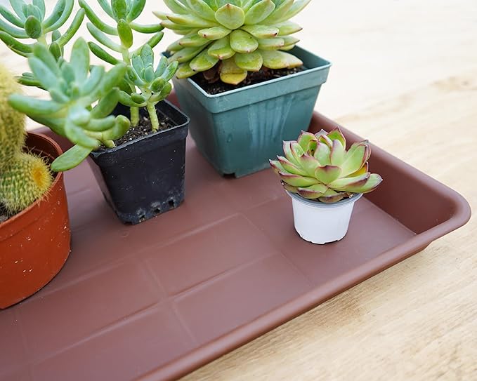 4 Pack Plant Saucer Tray Rectangular, Plant Saucers for Indoors, Heavy Sturdy Plastic Plant Drainage Trays, Plant Drip Trays for Pots, Seed Starter Growing Tray (11 x 9 inch, Chocolate)