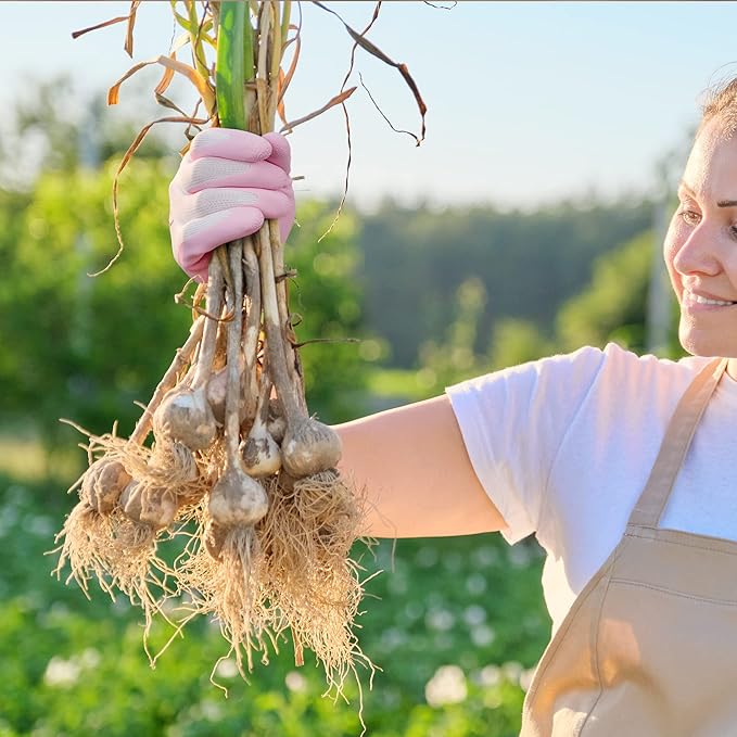 COOLJOB 2 Pairs Gardening Gloves for Women Ladies, Breathable Rubber Coated for Yard Garden, Outdoor Indoor Protective Work with Grip, Small Size, Blue & Pink