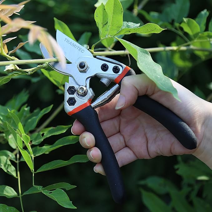 Garden Hedge Shears. Hedge Clippers & Shears SET with Super Pruning Shears. Heavy Duty Garden Clippers for Shaping Bushes Nicely. Hedge Scissors & Shears made with Durable Carbon Steel.