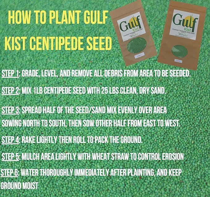 Centipede Grass Seed for a Dense Green Lawn, NO Mulch, 1 lb Coated Seeds, Sun and Moderate Shade Tolerant Lawn Seeding and Turf Patch Repair, Southern Southeast US, Low Fertilizer Low Maintenance